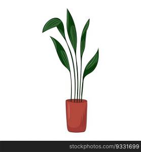 Hand drawn cute summer illustration of growing aspidistra in pot. Flat vector home plant icon Isolated on white background. Hand drawn cute summer illustration of growing aspidistra in pot. Flat vector home plant icon Isolated on white background.