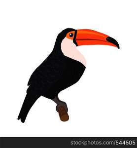 Hand drawn cute toucan isolated on white background. Tropical bird. Vector illustration.. Hand drawn toucan isolated on white background.