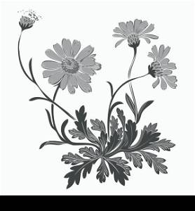 Hand drawn Dandelion flowers isolated on white background. Drawing contour vector illustration
