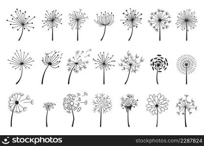 Hand drawn dandelions with flying seeds, dandelion flower heads. Abstract blowball flowers doodle silhouette, spring blossoms vector set. Illustration of fluffy blossom meadow. Hand drawn dandelions with flying seeds, dandelion flower heads. Abstract blowball flowers doodle silhouette, spring blossoms vector set