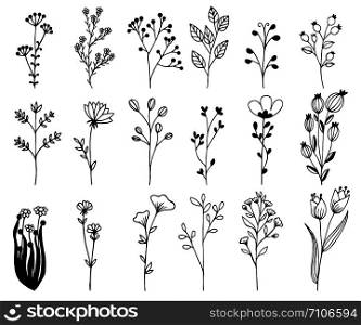 Hand drawn design elements. Flowers, branches, and leaves vector collection. Nature vector illustration.