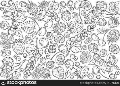Hand drawn different berries. Cherry, strawberry, raspberry, blackberry etc doodle set background. Hand drawn berries set