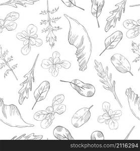 Hand drawn different kinds of lettuce on white background. Vector seamless pattern . Hand drawn different kinds of lettuce on white background.