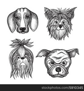 Hand drawn dog faces set with dachshund bulldog and terrier isolated vector illustration. Hand Drawn Dog Faces Set