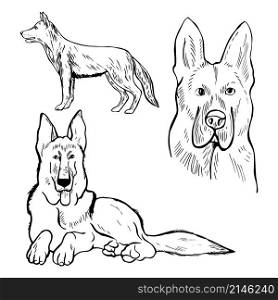 Hand drawn dog. German shepherd. Vector sketch illustration.