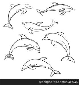 Hand drawn dolphins on white background. Vector sketch illustration. Vector sketch illustration with dolphins