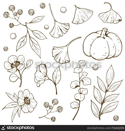 Hand drawn doodle and outline accessory autumn nature such as leaves, flower, berry and pumpkin, object isolated on white background, vector illustration.