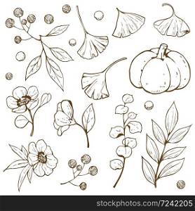 Hand drawn doodle and outline accessory autumn nature such as leaves, flower, berry and pumpkin, object isolated on white background, vector illustration.