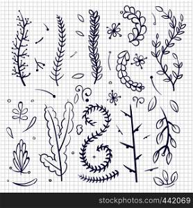 Hand drawn doodle branches and decorative elements isolated. Vector illustration. Hand drawn doodle branches and decorative elements