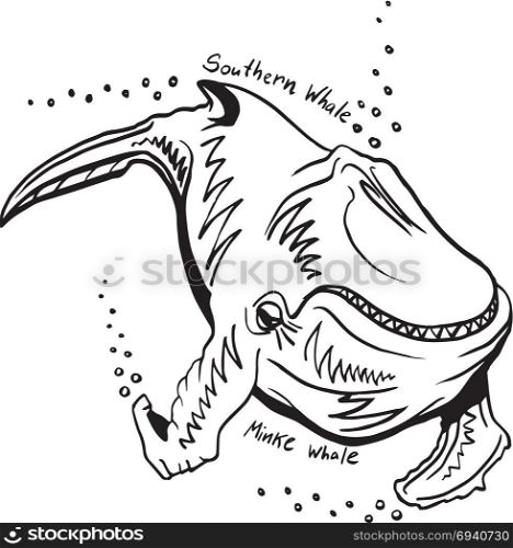 Hand-Drawn Doodle of southern whale. Vector Illustration.. Hand-Drawn Doodle of whale. Vector Illustration. Stock vector.