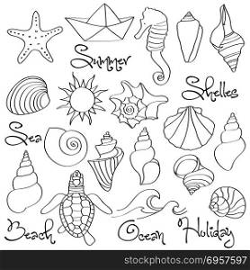 Hand drawn doodle Seashells and Sea elements set. Hand drawn doodle Seashells and Sea elements set. Vector format