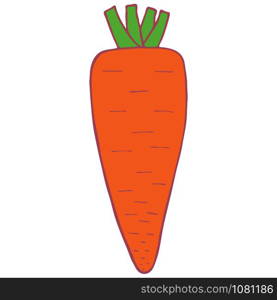 Hand drawn doodle vector isolated carrot, great design for any purposes.. Isolated vector flat carrot