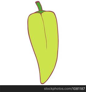 Hand drawn doodle vector isolated pepper, great design for any purposes.. Isolated vector flat pepper