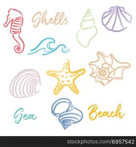 Hand drawn doodle watercolor Seashells and Sea elements set. Hand drawn doodle watercolor Seashells and Sea elements set. Vector format