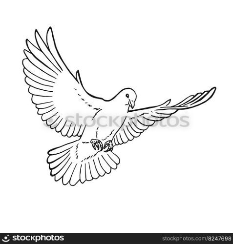 Hand drawn dove outline. Line art style isolated on white background.