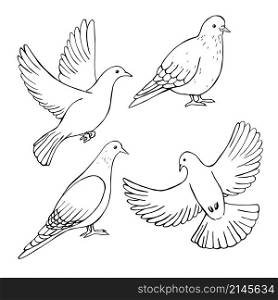 Hand drawn doves . Vector sketch illustration.