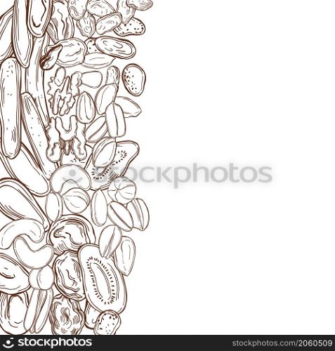 Hand drawn dried fruits and nuts. Sketch illustration. Vector background.. Dried fruits and nuts. Vector background.