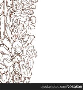 Hand drawn dried fruits and nuts. Sketch illustration. Vector background.. Dried fruits and nuts. Vector background.