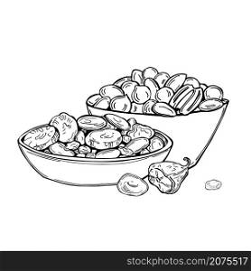 Hand drawn dried fruits and nuts. Vector sketch illustration.. Dried fruits and nuts. Vector illustration.