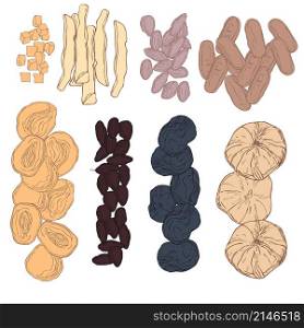 Hand drawn dried fruits. Vector illustration.