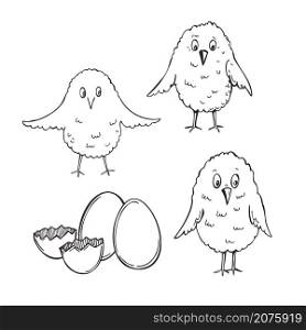 Hand drawn easter eggs and chickens. Vector sketch illustration.. Easter eggs and chickens. Vector illustration.