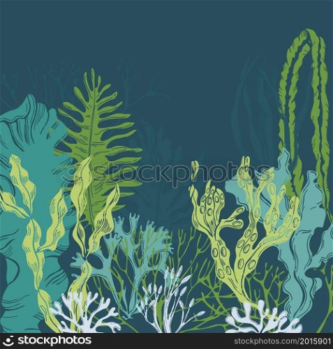 Hand drawn edible algae. Vector background.