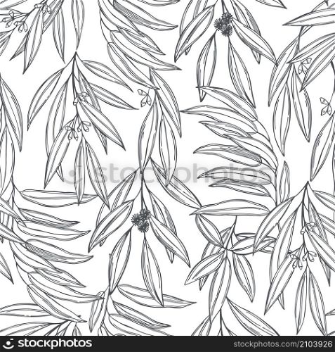Hand drawn Eucalyptus. Vector seamless pattern. Eucalyptus. Vector seamless pattern