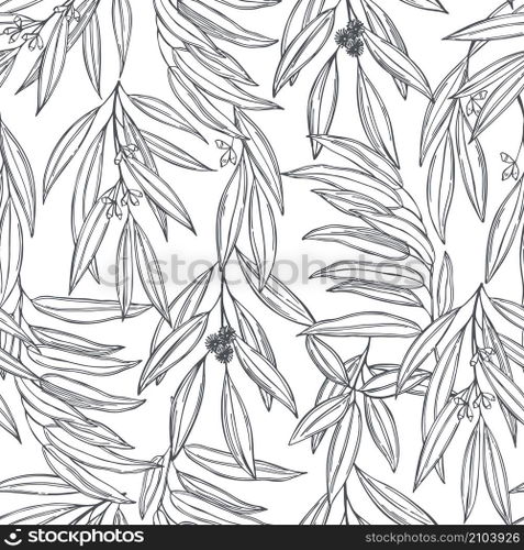 Hand drawn Eucalyptus. Vector  seamless pattern.  Eucalyptus. Vector  seamless pattern