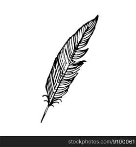 hand drawn feathers. doodle vector. Hand drawn feathers. Vector doodle illustration. Isolated on white background