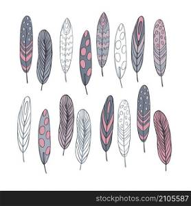 Hand drawn feathers on white background. Vector sketch illustration. Hand drawn vector feathers .