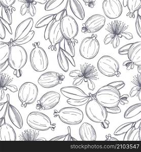 Hand drawn feijoa plant. Feijoa fruits with leaves. Vector seamless pattern.. Feijoa fruits with leaves. Vector seamless pattern.