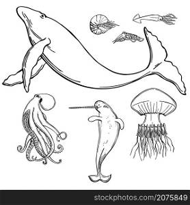 Hand drawn fish and wild marine animals on white background. Vector sketch illustration.. Fish and wild marine animals set.