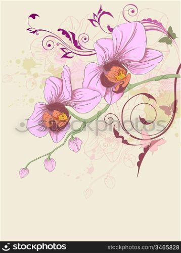 hand drawn floral background with orchid and ornament