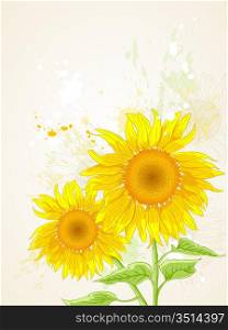 hand drawn floral background with sunflower