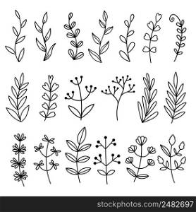 Hand drawn floral elements - leaves, branches. Vector illustration
