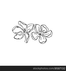Hand drawn floral greenery for design. Ink drawn greenery element set