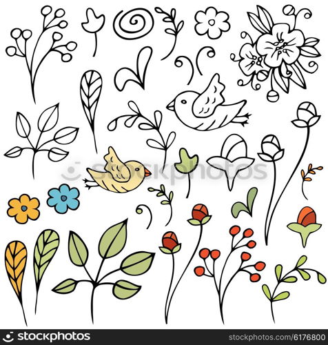 Hand drawn floral set. Isolated. Vector