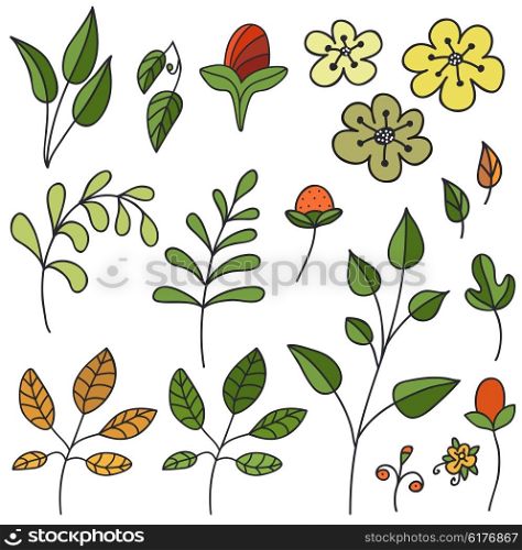 Hand drawn floral set. Isolated. Vector