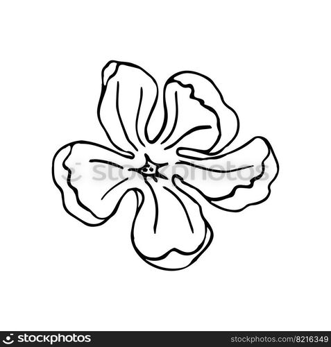 Hand drawn florwer for design. Sketch of Magnolia Flowers. Collection of Hand drawn style black and white line illustrations on a white background, vector illustration. Magnolia flower head, hand drawn elements for design of wedding card and invite.Isolate on white background