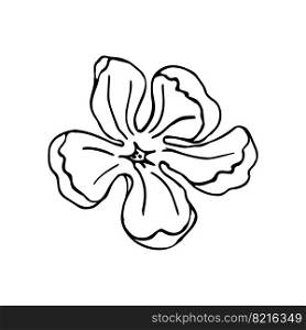 Hand drawn florwer for design. Sketch of Magnolia Flowers. Collection of Hand drawn style black and white line illustrations on a white background, vector illustration. Magnolia flower head, hand drawn elements for design of wedding card and invite.Isolate on white background