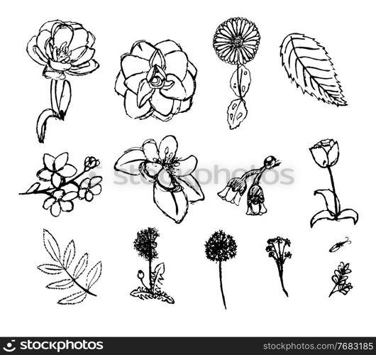 Hand drawn flower collection set. Vector Illustration EPS10. Hand drawn flower collection set. Vector Illustration