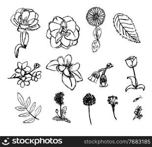 Hand drawn flower collection set. Vector Illustration EPS10. Hand drawn flower collection set. Vector Illustration