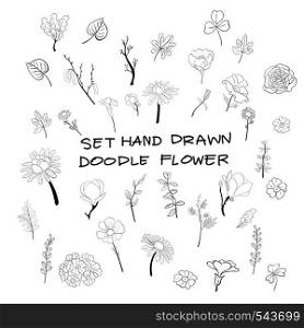 Hand drawn flower doodle style.