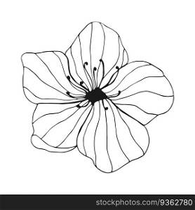 Hand drawn flower on white background. One line contour floral drawing. Outline botanical element. Vector illustration