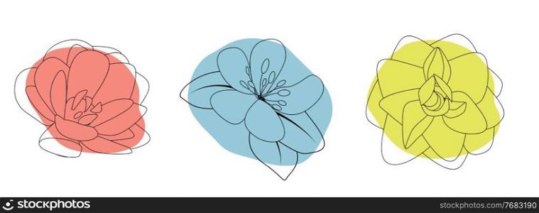 Hand drawn flower. Vector Illustration EPS10. Hand drawn flower isolated on white. Vector Illustration