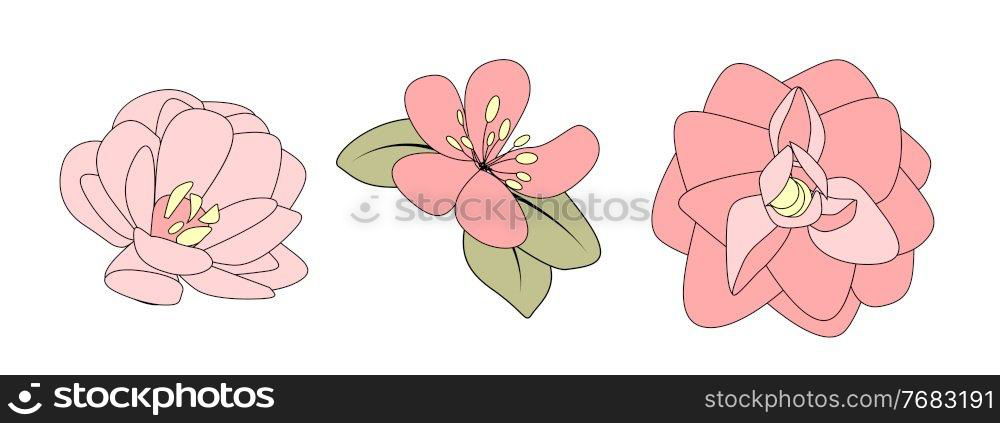 Hand drawn flower. Vector Illustration EPS10. Hand drawn flower isolated on white. Vector Illustration