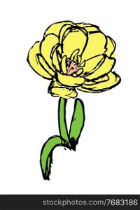 Hand drawn flower. Vector Illustration EPS10. Hand drawn flower. Vector Illustration