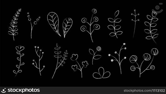 Hand drawn flowers and plants sketched vector illustration. Group of sketch flower silhouettes, white chalk style drawings isolated on blackboard for wedding invitation or elegant plant decoration. Hand drawn chalked flowers and plants illustration