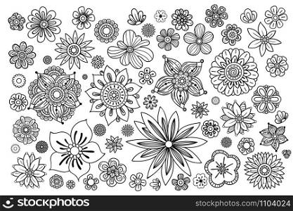 Hand drawn flowers collection. Floral design elements set. Black and white vector illustration in doodles style. Isolated on white background.. hand drawn flowers
