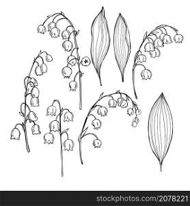 Hand drawn flowers on white background. Lilies of the valley(Convallaria majalis).Vector sketch illustration.. Lilies of the valley.Vector sketch illustration.